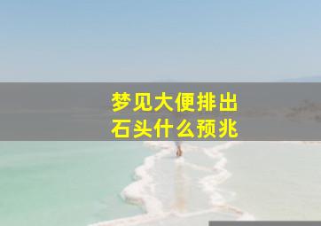 梦见大便排出石头什么预兆