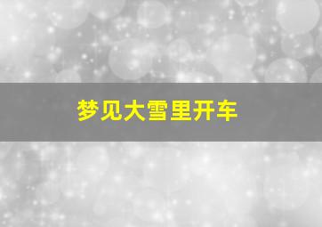 梦见大雪里开车