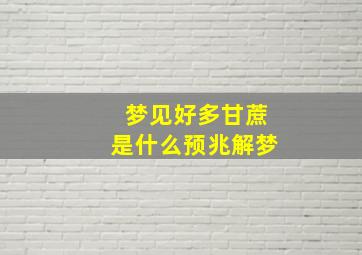 梦见好多甘蔗是什么预兆解梦