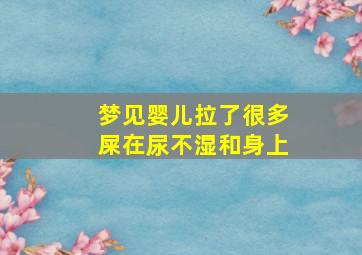 梦见婴儿拉了很多屎在尿不湿和身上