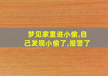 梦见家里进小偷,自己发现小偷了,报警了