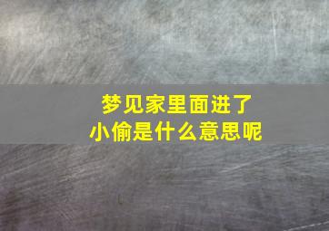 梦见家里面进了小偷是什么意思呢