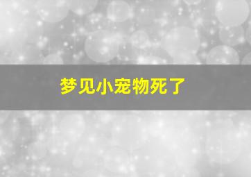 梦见小宠物死了