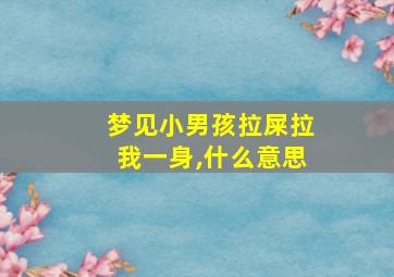 梦见小男孩拉屎拉我一身,什么意思