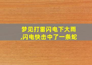 梦见打雷闪电下大雨,闪电快击中了一条蛇