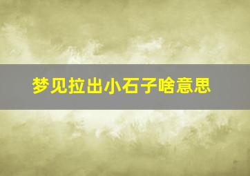 梦见拉出小石子啥意思