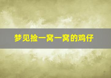 梦见捡一窝一窝的鸡仔