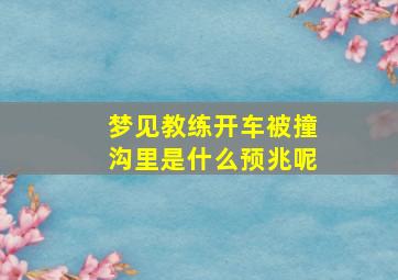 梦见教练开车被撞沟里是什么预兆呢