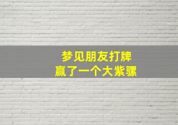 梦见朋友打牌赢了一个大紫骡