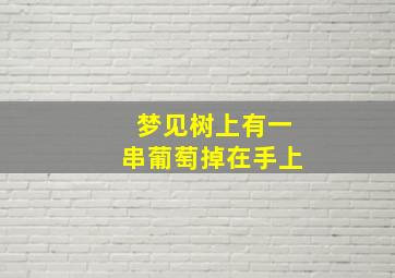 梦见树上有一串葡萄掉在手上