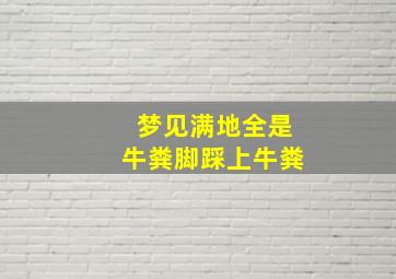 梦见满地全是牛粪脚踩上牛粪