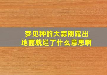 梦见种的大蒜刚露出地面就烂了什么意思啊