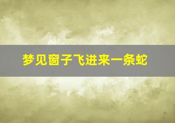 梦见窗子飞进来一条蛇