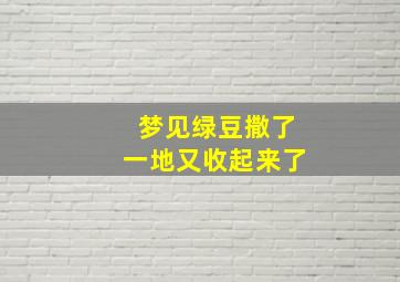 梦见绿豆撒了一地又收起来了