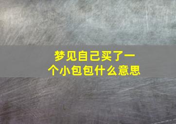 梦见自己买了一个小包包什么意思