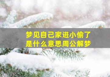 梦见自己家进小偷了是什么意思周公解梦