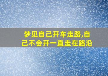 梦见自己开车走路,自己不会开一直走在路沿