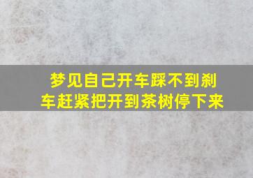 梦见自己开车踩不到刹车赶紧把开到茶树停下来