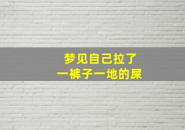 梦见自己拉了一裤子一地的屎