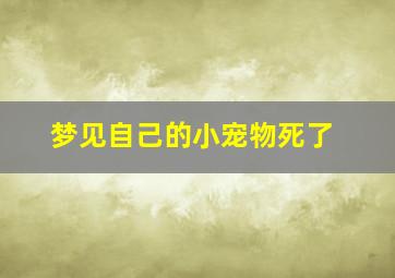 梦见自己的小宠物死了