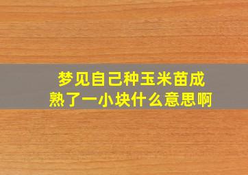 梦见自己种玉米苗成熟了一小块什么意思啊