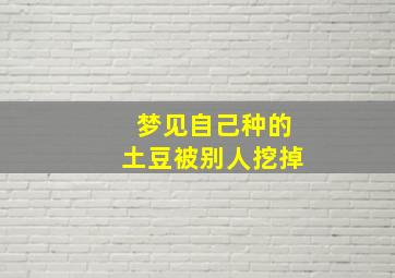 梦见自己种的土豆被别人挖掉