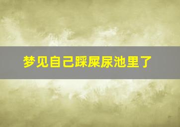 梦见自己踩屎尿池里了