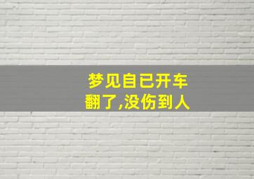 梦见自已开车翻了,没伤到人