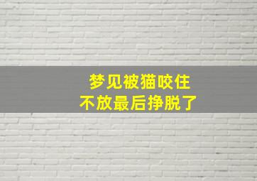 梦见被猫咬住不放最后挣脱了