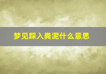 梦见踩入粪泥什么意思