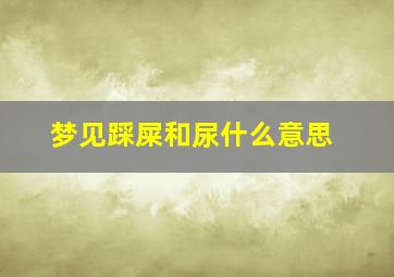 梦见踩屎和尿什么意思