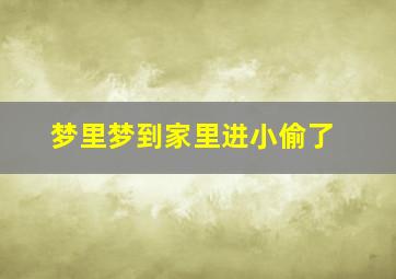 梦里梦到家里进小偷了