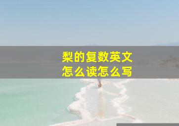 梨的复数英文怎么读怎么写