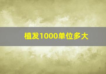 植发1000单位多大