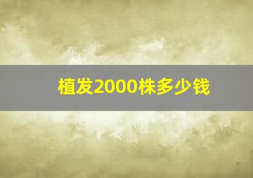 植发2000株多少钱