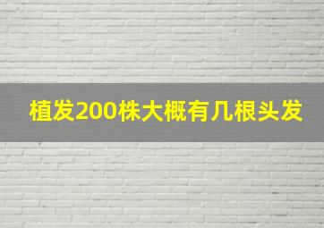 植发200株大概有几根头发