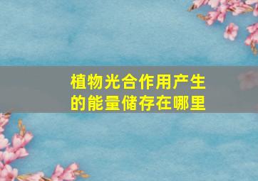 植物光合作用产生的能量储存在哪里