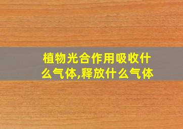 植物光合作用吸收什么气体,释放什么气体