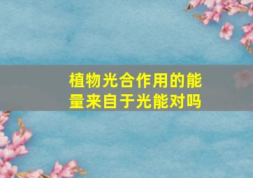 植物光合作用的能量来自于光能对吗