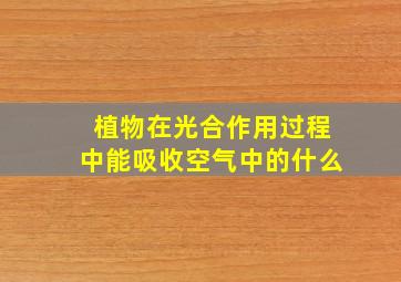 植物在光合作用过程中能吸收空气中的什么