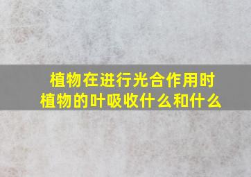 植物在进行光合作用时植物的叶吸收什么和什么