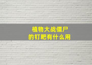 植物大战僵尸的钉耙有什么用