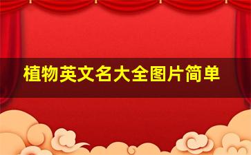 植物英文名大全图片简单