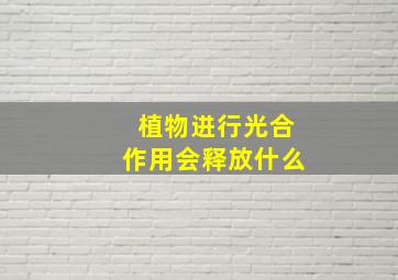 植物进行光合作用会释放什么