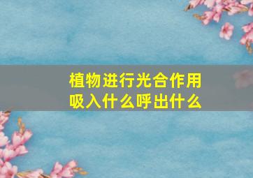 植物进行光合作用吸入什么呼出什么