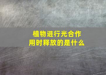 植物进行光合作用时释放的是什么