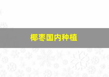 椰枣国内种植