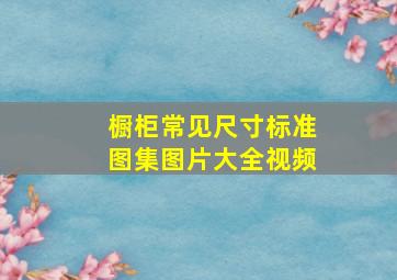 橱柜常见尺寸标准图集图片大全视频