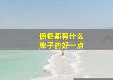 橱柜都有什么牌子的好一点