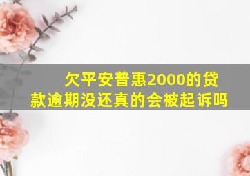 欠平安普惠2000的贷款逾期没还真的会被起诉吗